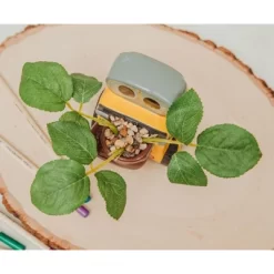 Silver Buffalo Disney Pixar WALL-E 4-Inch Ceramic Mini Planter With Artificial Succulent -Baby Land Shop GUEST 46728b6e 48f9 4df5 8e0b 568f21659001