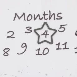 Disney Dumbo Super Soft Milestone Baby Blanket -Baby Land Shop GUEST 5e3fb459 8514 4782 bb52 48d5e0de1a36