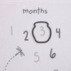 Disney Baby Classic Pooh Milestone Blanket -Baby Land Shop GUEST 6dcf4956 b977 4ea7 82e7 22e1e03aac98