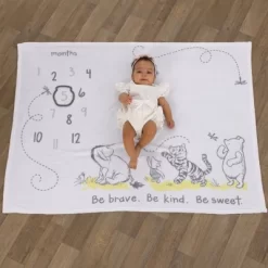 Disney Baby Classic Pooh Milestone Blanket