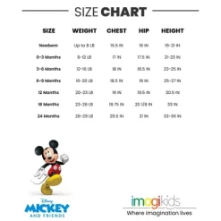Disney Classics Mickey Mouse Winnie The Pooh Baby Hoodie Bodysuit And Pants 3 Piece Outfit Set Newborn To Infant -Baby Land Shop GUEST b878b87f 6242 46cd 9687 75d13a078bd7