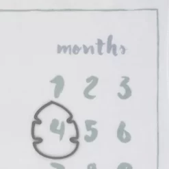 Disney Lion King Simba Super Soft Milestone Baby Blanket -Baby Land Shop GUEST c9e5ac9f 0fb6 4912 8b89 c46e7d0b3fe9