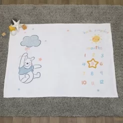 Disney Winnie The Pooh Super Soft Milestone Baby Blanket 8 Disney Winnie The Pooh Super Soft Milestone Baby Blanket -Baby Land Shop GUEST cfb49c92 6ed8 490d 8766 8a3612c32f48