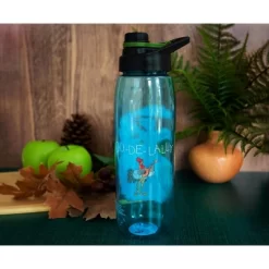 Silver Buffalo Disney Robin Hood "What A Good Day" Water Bottle With Lid | Holds 28 Ounces -Baby Land Shop GUEST d0f2ae0b 1bb3 453a b967 a5b4f39bae2e